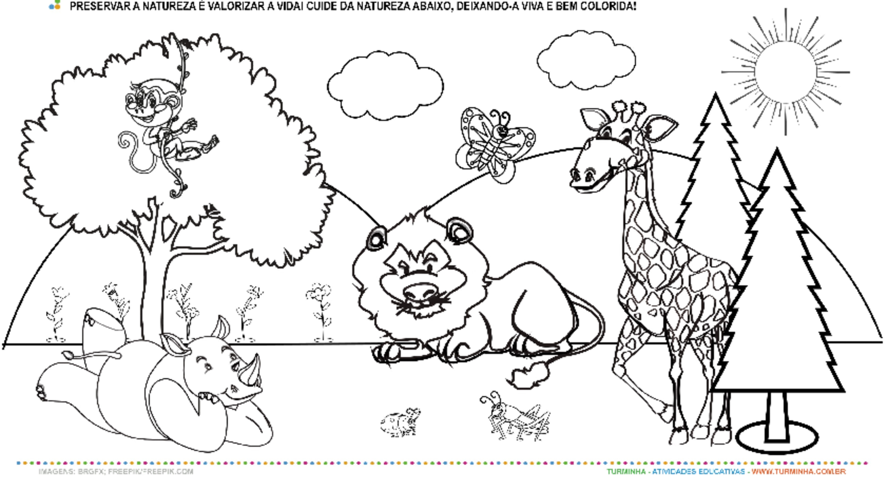 Atividades para educação infantil: Desenhos para colorir – Ver e Fazer